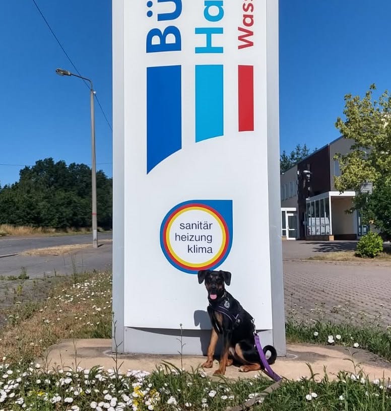 Hund vor Firmenschild